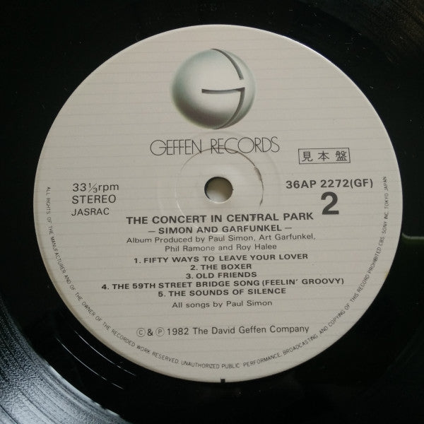 The Concert In Central Park