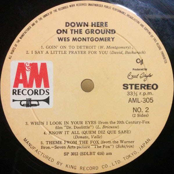 Down Here On The Ground