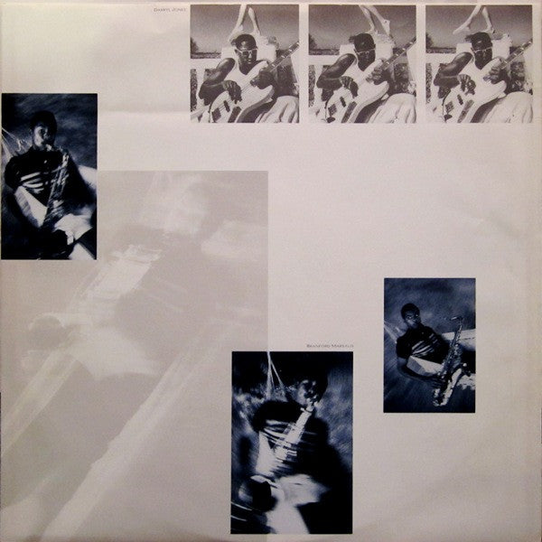 The Dream Of The Blue Turtles