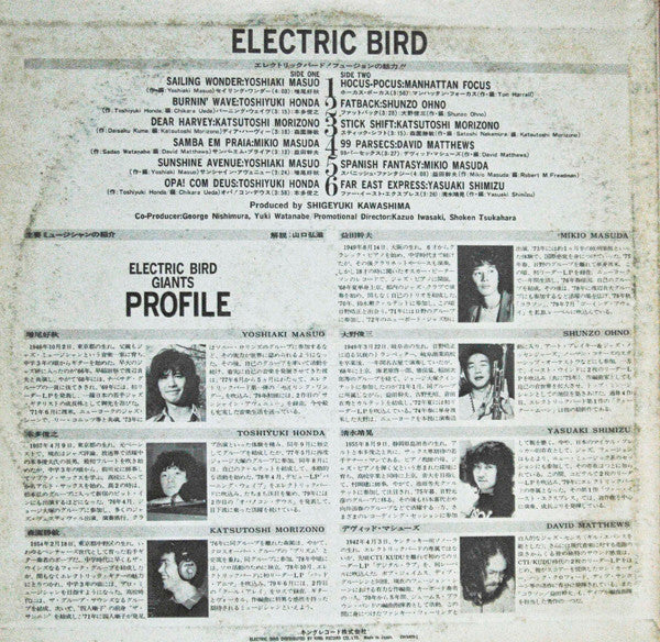 This Is Electric Bird