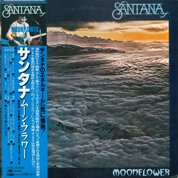 Moonflower