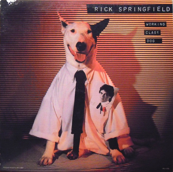 Working Class Dog