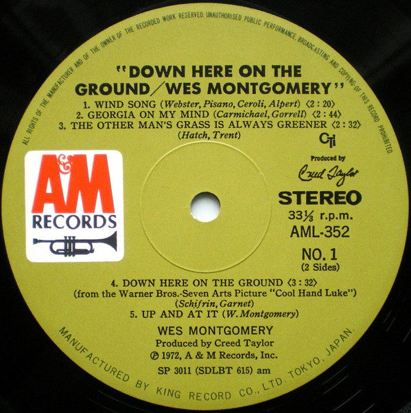 Down Here On The Ground