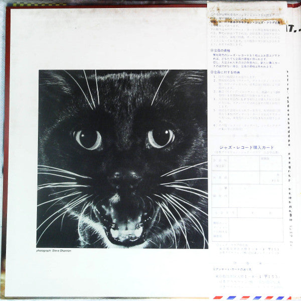 The Cat