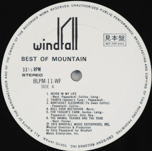 The Best Of Mountain