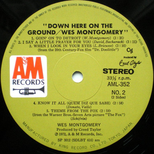 Down Here On The Ground