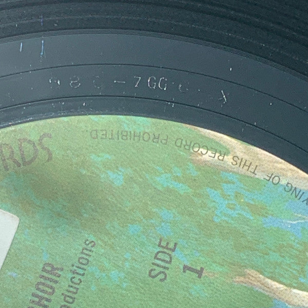 His Band And The Street Choir