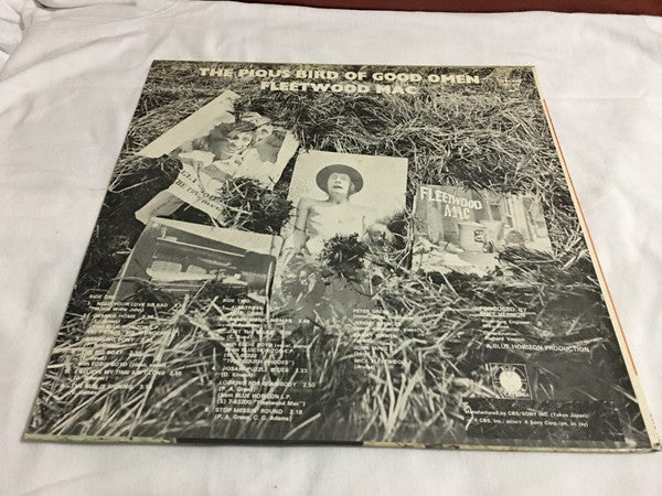 The Pious Bird Of Good Omen