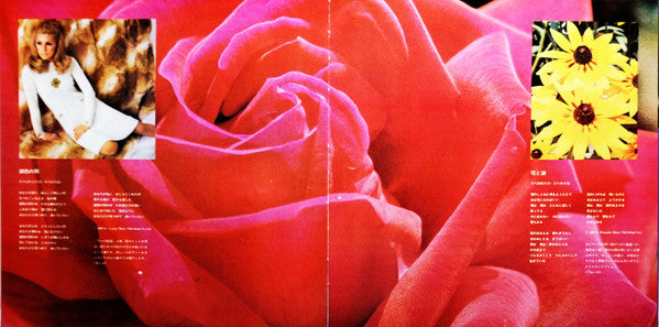 Dancing Hit Music = ヒット・ダンシング・ミュージック