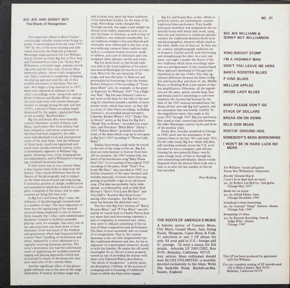 Big Joe Williams And Sonny Boy Williamson