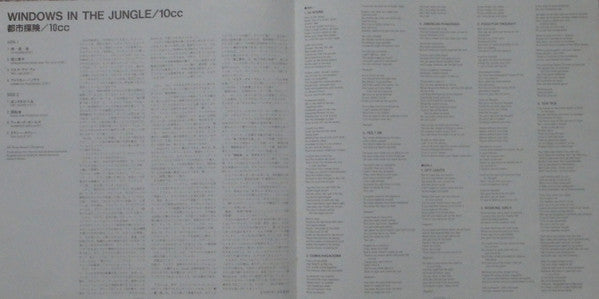 Windows In The Jungle