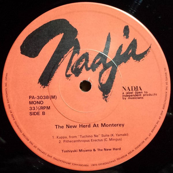 The New Herd At Monterey