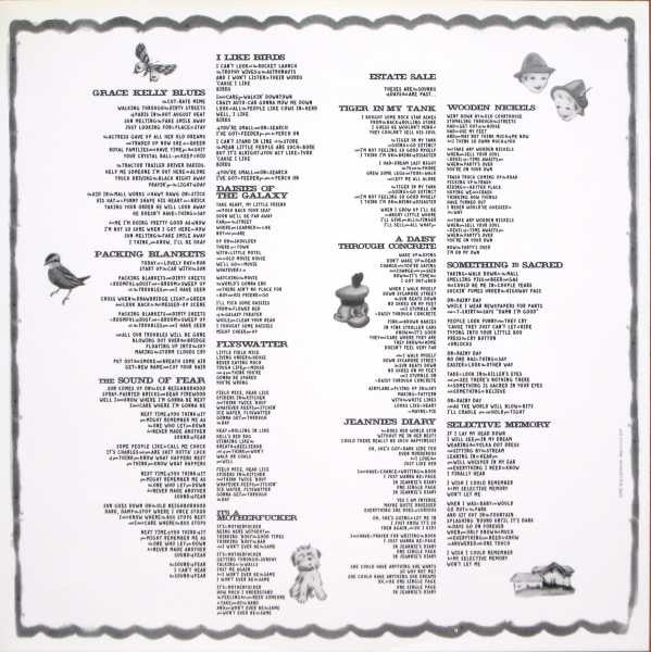 Daisies Of The Galaxy