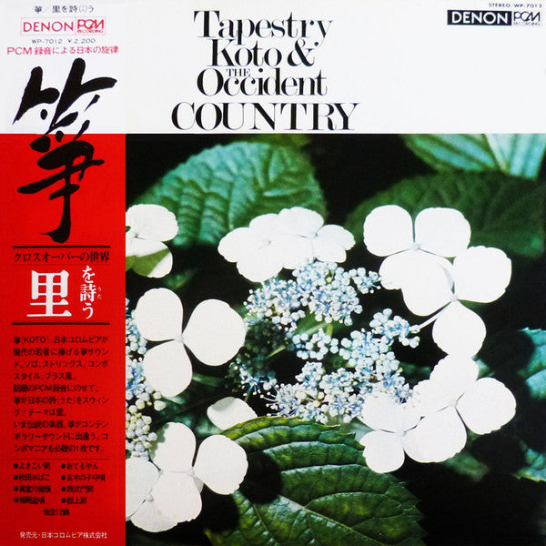 Tapestry Koto & The Occident Country = 琴 里を詩う