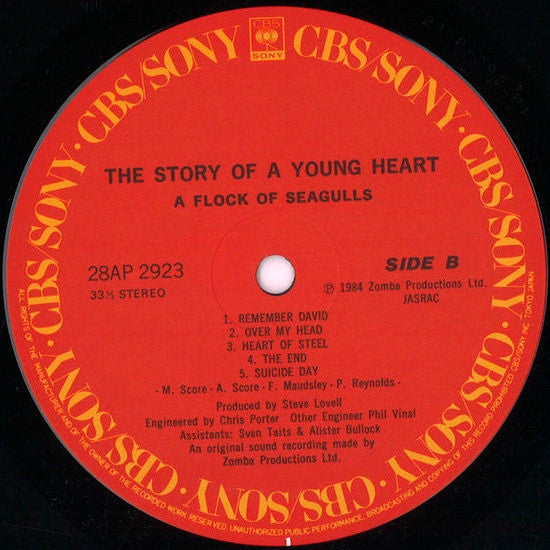 The Story Of A Young Heart