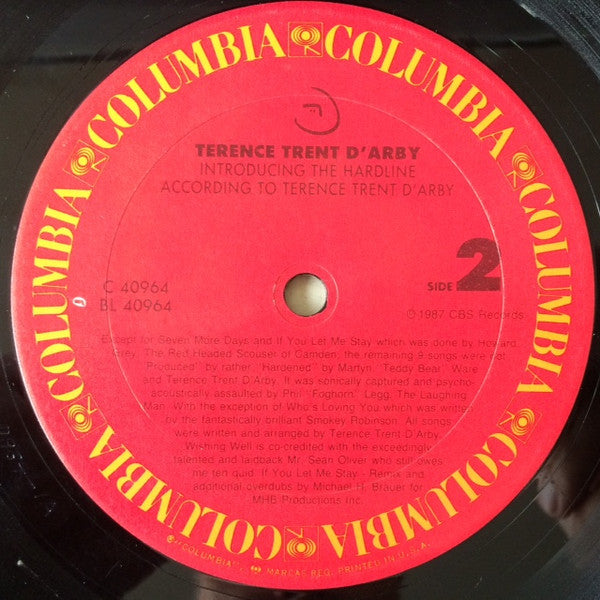 Introducing The Hardline According To Terence Trent D'Arby