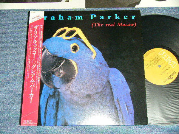 The Real Macaw