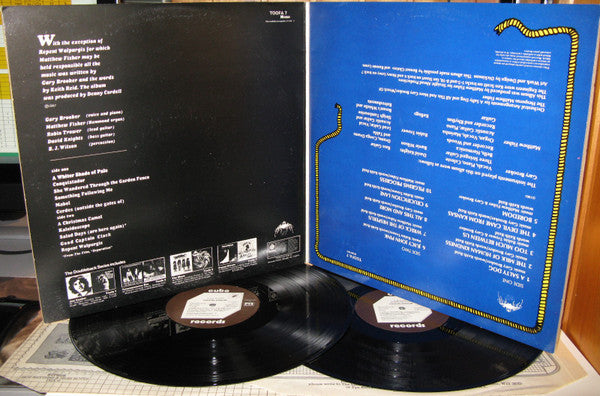 A Whiter Shade Of Pale / A Salty Dog