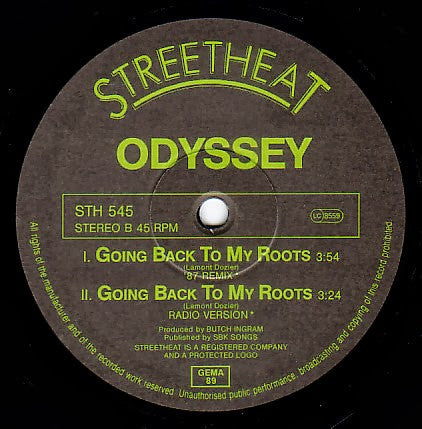 Going Back To My Roots (Flim Flam Remix)