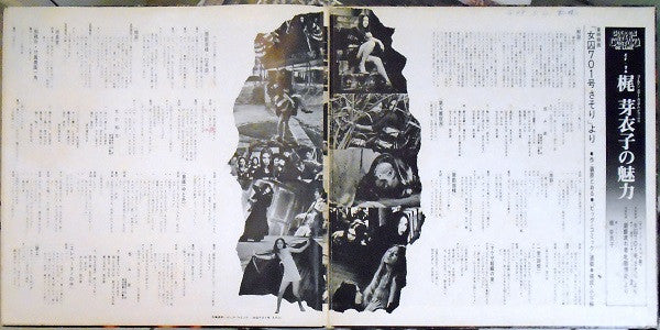 梶 芽衣子の魅力