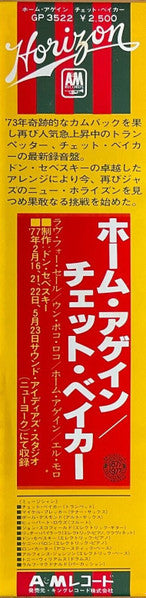 You Can't Go Home Again