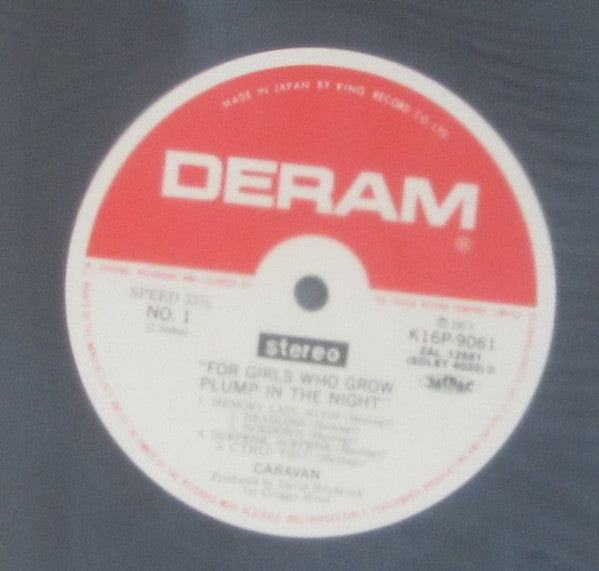 For Girls Who Grow Plump In The Night