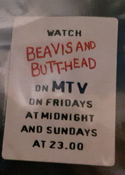 The Beavis And Butt-Head Experience