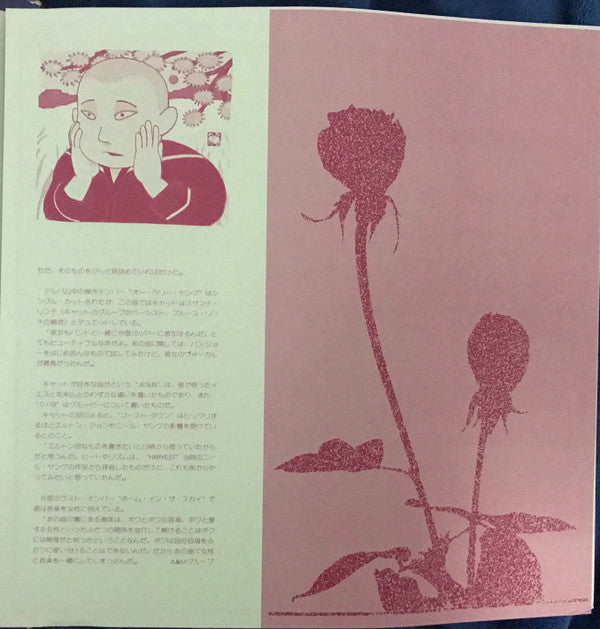 Buddha And The Chocolate Box