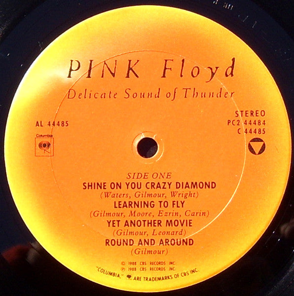 Delicate Sound Of Thunder