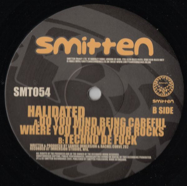 Do You Mind Being Careful Where You Throw Your Rocks / Techno De Fuck