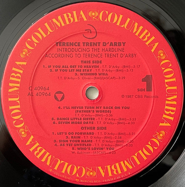 Introducing The Hardline According To Terence Trent D'Arby