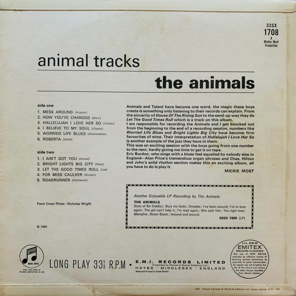 Animal Tracks