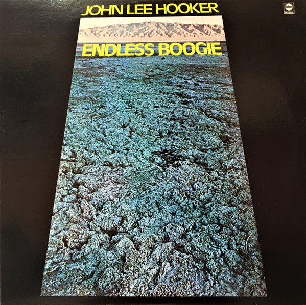 Endless Boogie