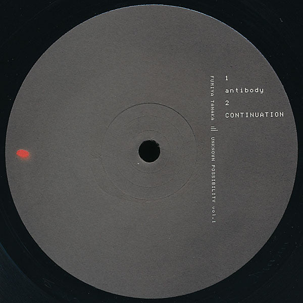 Unknown Possibility Vol. 1