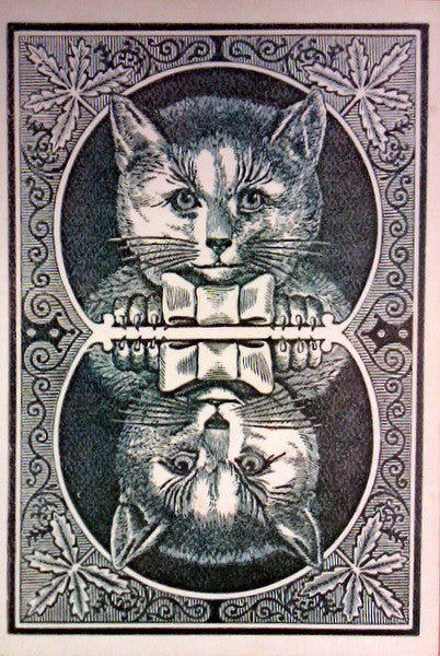 Seven Separate Fools = セブン・セパレート・フールズ