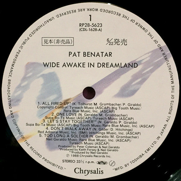 Wide Awake In Dreamland