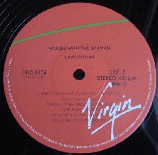 Words With The Shaman