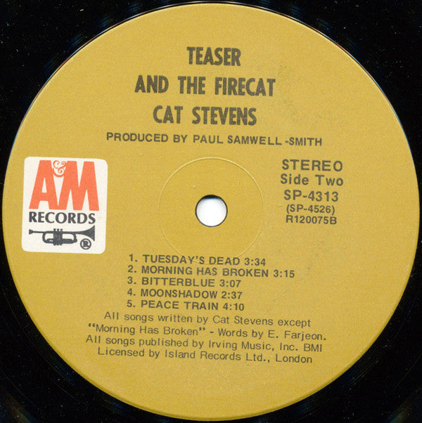 Teaser And The Firecat