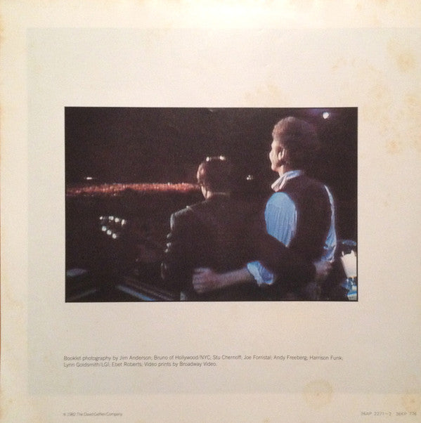 The Concert In Central Park