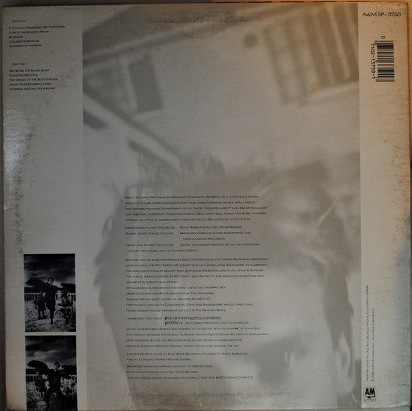 The Dream Of The Blue Turtles