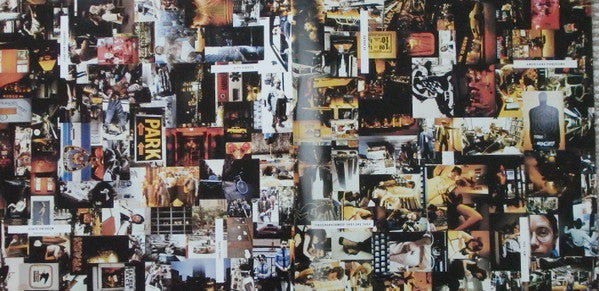 Windows In The Jungle