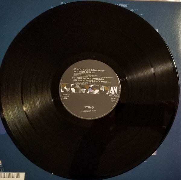 If You Love Somebody Set Them Free