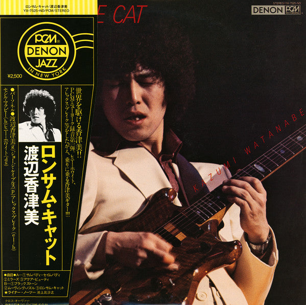 Lonesome Cat