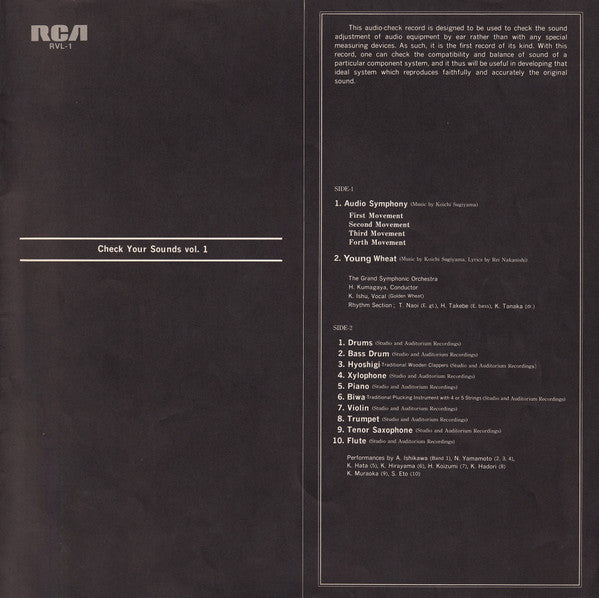 Audio Symphony (Check Up Your Sounds Vol.1) = オーテイオ交響曲