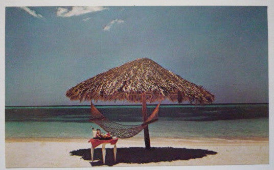 Foreigner = 異邦人