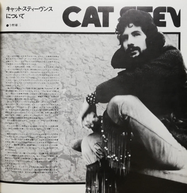 Teaser And The Firecat