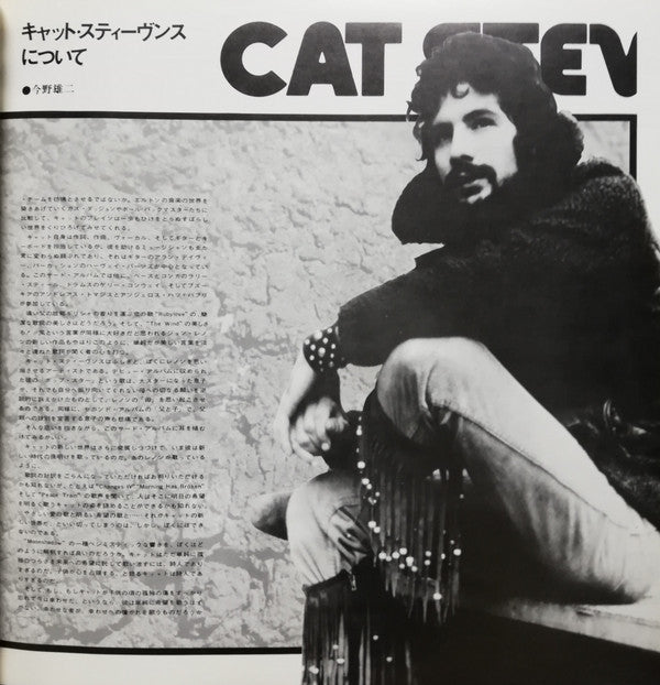 Teaser And The Firecat