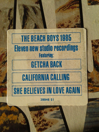The Beach Boys