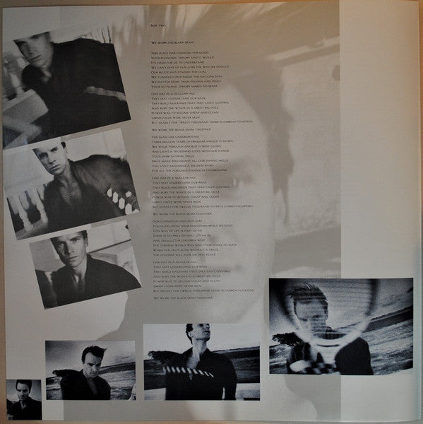 The Dream Of The Blue Turtles