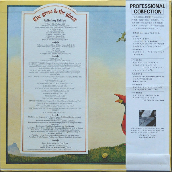 The Geese & The Ghost